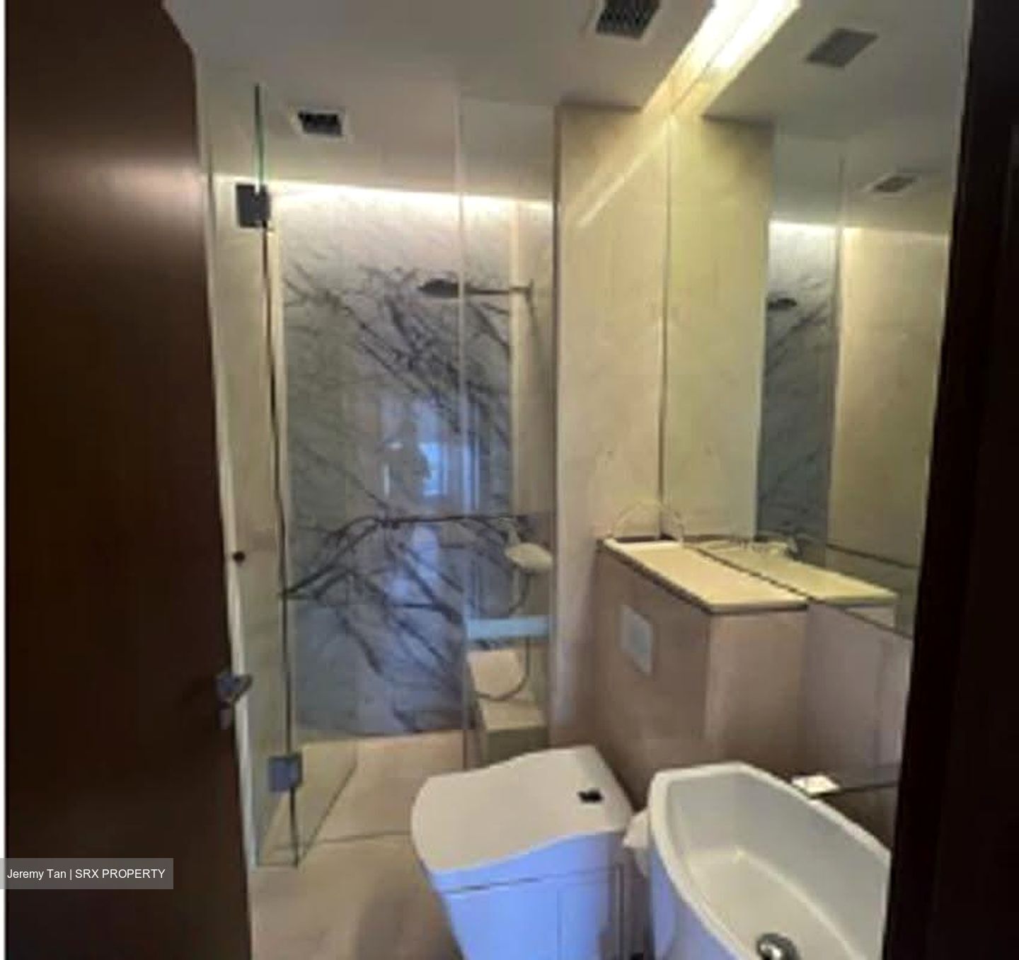 The Scotts Tower (D9), Condominium #613671291